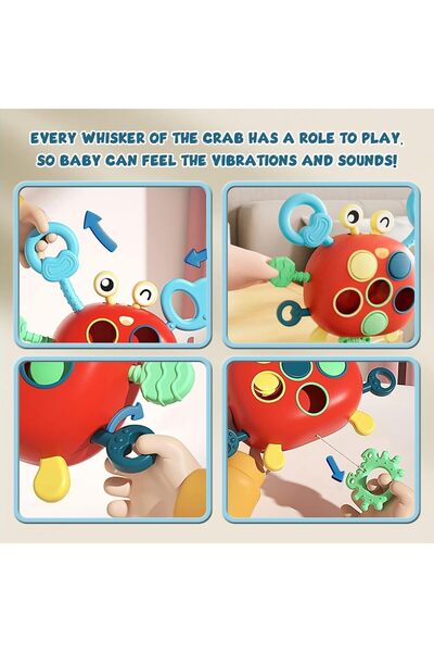 Generics Boliviaz Sensory Silicone Crab Montessori Pull-String Toy for Toddlers (1+)