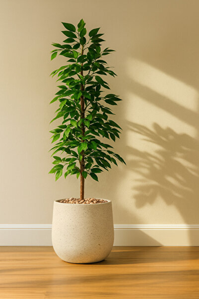 MARINO 155cm Artificial Ficus Leaf Tree