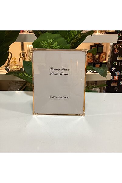 goldhomedesign İnce Kenarlı Metal Fotoğraf Çerçevesi 20x25