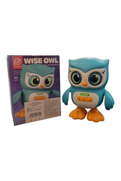 Wise Owl Outfitters Interactive owl for children - with lights, songs, dancing