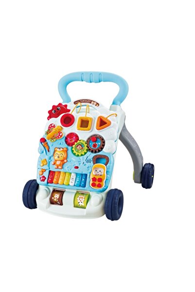 Toysea مشاية أطفال 3 في 1 مع مركز أنشطة ولوحة بيانو، وأداة فرز الأشكال، وأداة عضاضة، وسرعة قابلة للتعديل