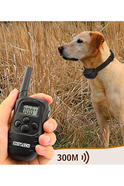 MANDU Electronic training collar with wireless remote control