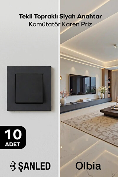 Olbia مفتاح كهربائي أسود أحادي التأريض مع مقبس كارين 10 قطع