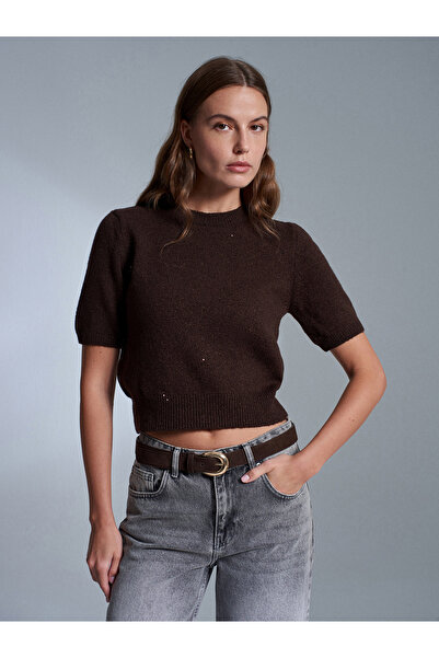 Dilvin 10703 guler rotund Pulover tricotat cu paiete- maro