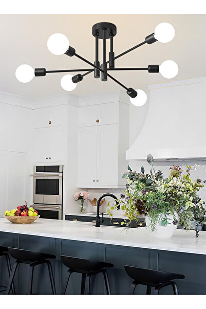 Generic Modern Minimalist Sputnik Ceiling Chandelier, American Iron Art, Bedroom/Dining Lamp