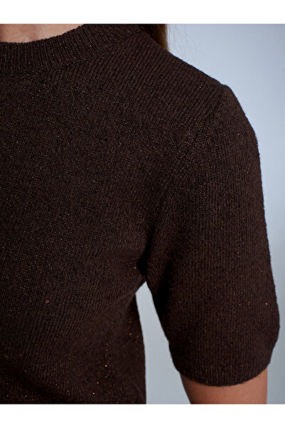 Dilvin 10703 guler rotund Pulover tricotat cu paiete- maro