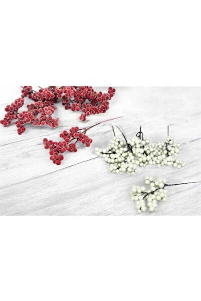 OEM Decorative Christmas Frosted Cranberry Branches, White and Red - Set of 10
