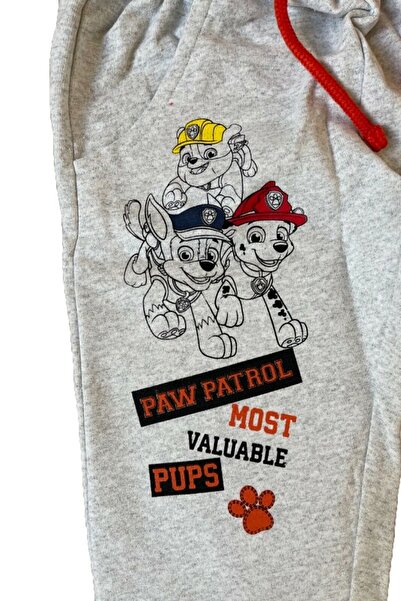 PAW PATROL Grey sweatpants