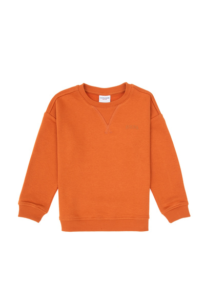 U.S. Polo Assn. Boy's Copper Crew Neck Basic Sweatshirt 50313829-Vr182