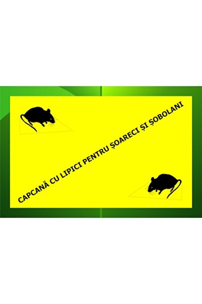 TOMIBENA DIV1 Mouse Trap (Wholesale)