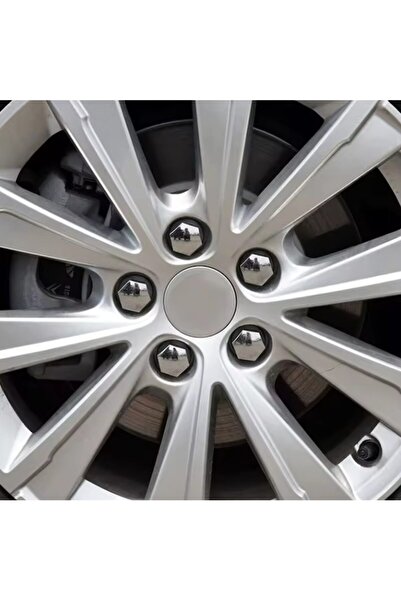 Universal Set of 20 Decorative Lug Nut Covers 19 mm + removal key, plastic, Silver