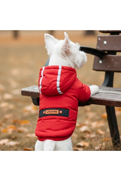 OEM Geacă cu glugă de toamnă/iarnă, pentru animale de companie mici și mijloc...