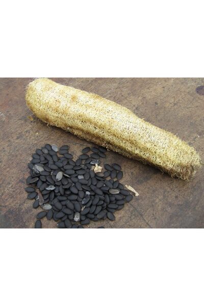 Doğanlı "Lif Kabağı tohumu 30 Adet Yerel & Sürdürülebilir Tohum”