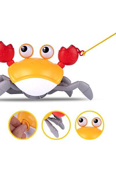indiggo Crabby 2in1 Interactive Toy for Bath and Floor, Multicolor, No Batteries, 22x12.5x11.5 cm