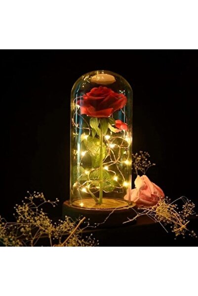 Malatec Trandafir criogenizat cu LED în cupolă de sticlă cu bază din lemn, 22 x 11,5 cm, roșu
