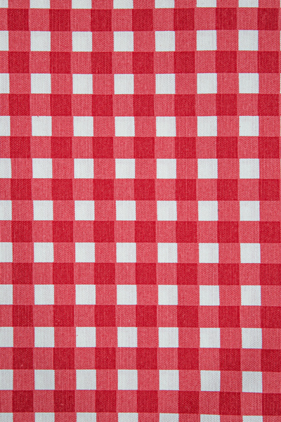 Premier Home Duck Checkered Throw Pillow Cover Red White V1 45X45