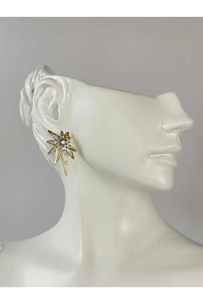 New Meluna Special Series Zircon Stone Star Model Women's Steel Earrings Non-...