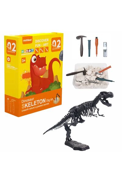 Chanak مجموعة حفريات ديناصور تي ريكس للأطفال | حفريات STEM واكتشاف الهياكل ال...