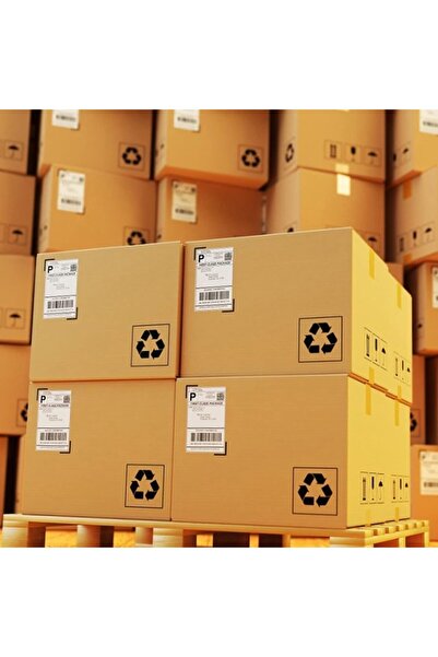 GENERAL Morelian Thermal Shipping Labels 4x6 in (100x150mm) - 350 pcs