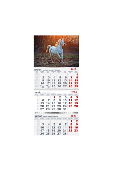 Lizy 2026 Gemici Duvar Takvimi