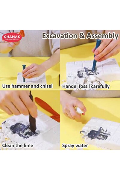 Chanak Stegosaurus Fossil Dig Kit for Kids | STEM Dinosaur Excavation & Skeleton Discovery