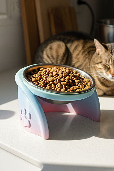 Vivie Tasarım Pixi Kedi Mama Kabı Standı – %13 Eğimli Ergonomik Tasarım, PETG Gövde + Paslanmaz Çelik Kase
