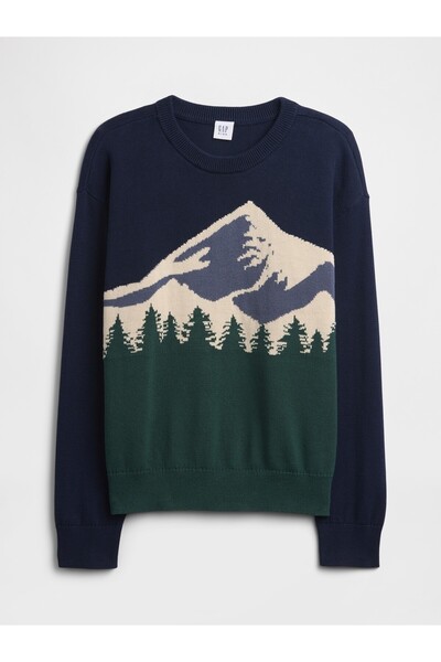 GAP Erkek Çocuk Lacivert Intarsia Kazak