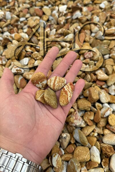 AHS Sarı Çizgili Rainbow Dolomit Çakıl Taşı 1-3 Cm 5 Kg Dekoratif Bahçe Peyza...