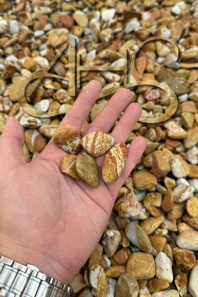 AHS Sarı Çizgili Rainbow Dolomit Çakıl Taşı 1-3 Cm 10 Kg Dekoratif Bahçe Peyz...