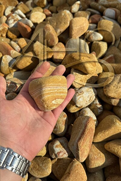 AHS Sarı Çizgili Rainbow Dolomit Çakıl Taşı 6-10 Cm 1 Kg Dekoratif Bahçe Peyz...