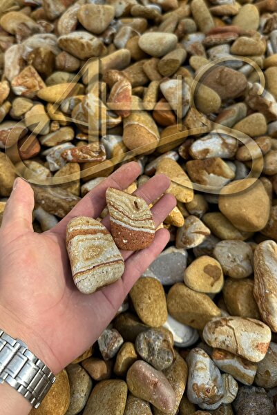 AHS Sarı Çizgili Rainbow Dolomit Çakıl Taşı 4-8 Cm 2 Kg Dekoratif Bahçe Peyza...