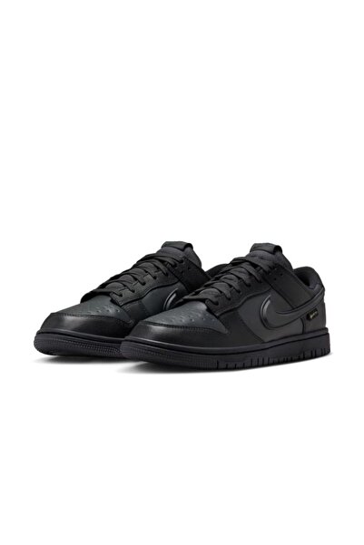 Nike DUNK LOW GTX Male Sports Shoes HQ2053-001 Men