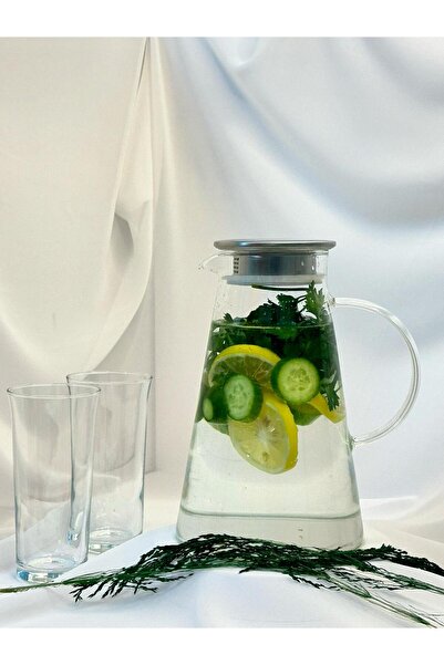 aden glass Vakumlu Çelik Kapaklı Sızdırmaz Sürahi Detox Sürahisi Brosilikat C...