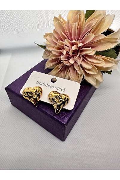 staınless steel Filled Heart Model Steel Earrings