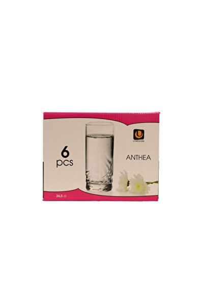 OEM ANTHEA set of 6 water glasses 265 ml