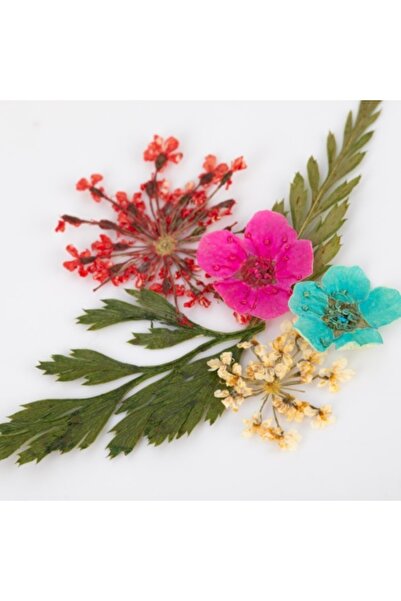 GIRLS CORNER Dried flowers for nail decoration type E