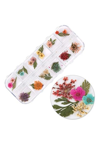 GIRLS CORNER Dried flowers for nail decoration type E