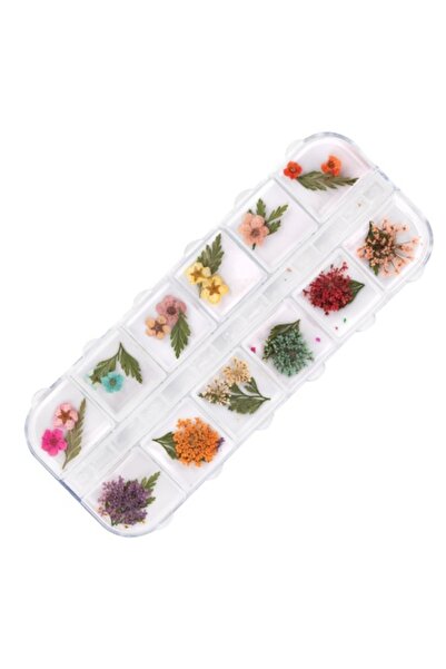 GIRLS CORNER Dried flowers for nail decoration type E