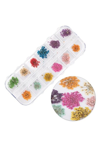 GIRLS CORNER Flori uscate pentru decorarea unghiilor tip A