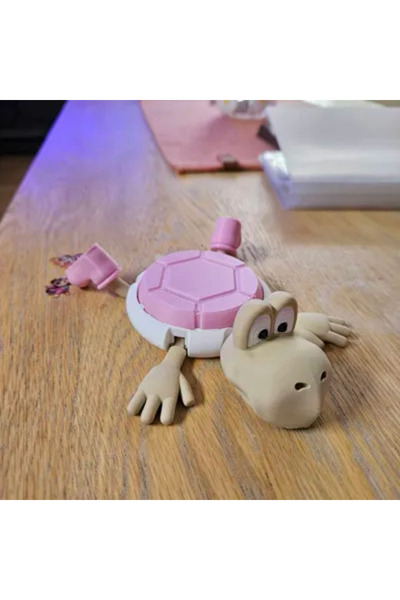 HasFar Tech Super Mario Koopa Troopa Coaster