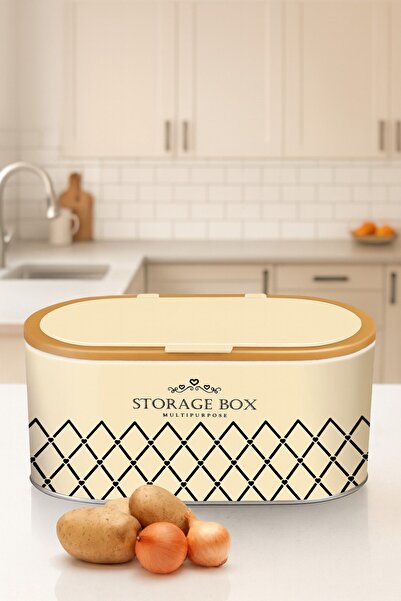 Reoona Metal Kitchen Storage Box – with Lid, Stylish Design, Multi-Purpose Storage Container