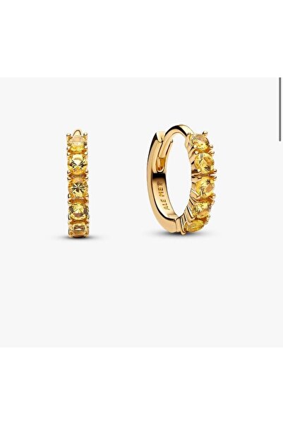 POSEİDONS JEWELLERY S925 Ayar Sarı Küçük Halka Küpeler