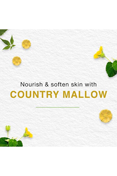 Himalaya Herbal Baby Cream