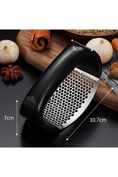 AVA Manual Garlic or Ginger Press, Metal with Plastic Handle, 10.7x5x7 cm