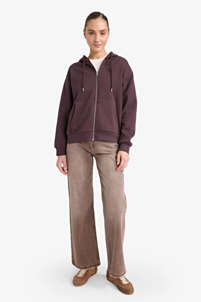 DeFacto Relax Fit Hooded Basic Plain Thick Zippered Sweatshirt C1809Ax25Au