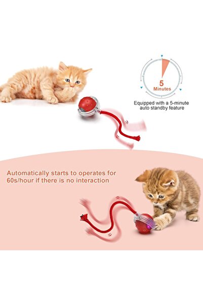 NO BRAND Cat toys, rechargeable, stimulate cats' hunting instincts, provide all floors and carpets