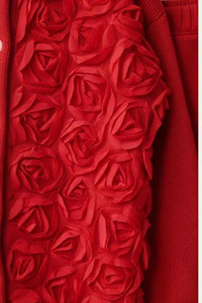 My Kids Wear Girl's Tulle Rose Applique Knitwear Cardigan Two-Piece Set 3-10 Years Old 12299