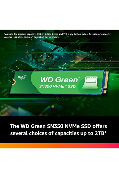 WESTERN DIGITAL 500GB WD Green SN350 NVMe Internal SSD (M.2 2280, Gen3 PCIe)