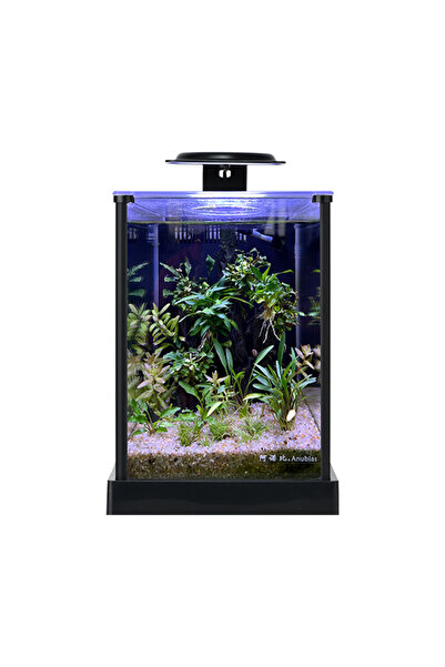 ANUBIAS AQUARIUM LIVE PLANTS Anubias A168 Nano Akvaryum Set 18,7x23,7x25,8 cm