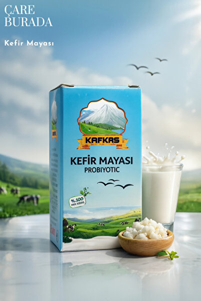 Çare Burada Kafkas - Kefir Mayası Probiyotik